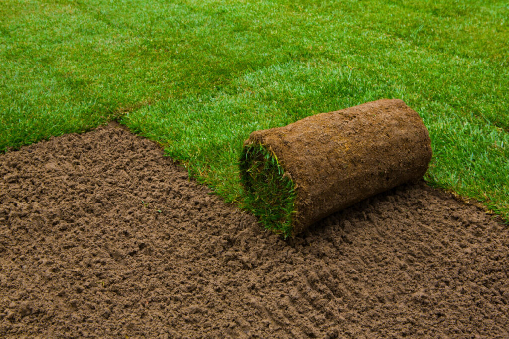 Sod Installation Sod Installation