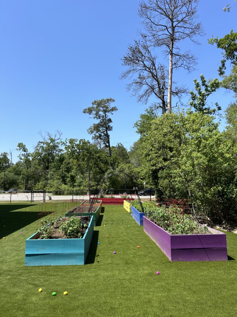 Falcon Ridge Elementary School