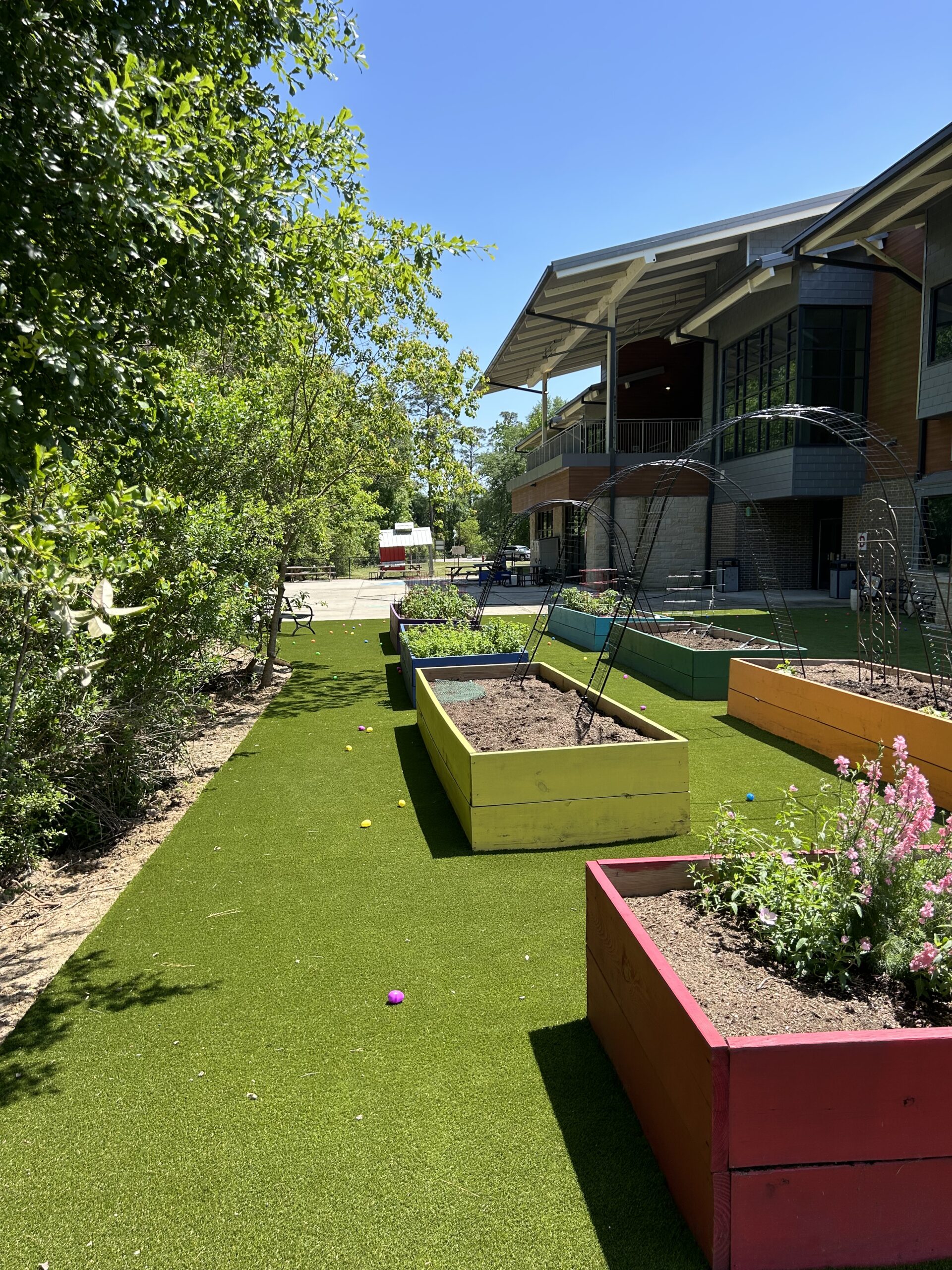 Falcon Ridge Elementary Project - Custom Outdoor Living by Texas Turf Tenders