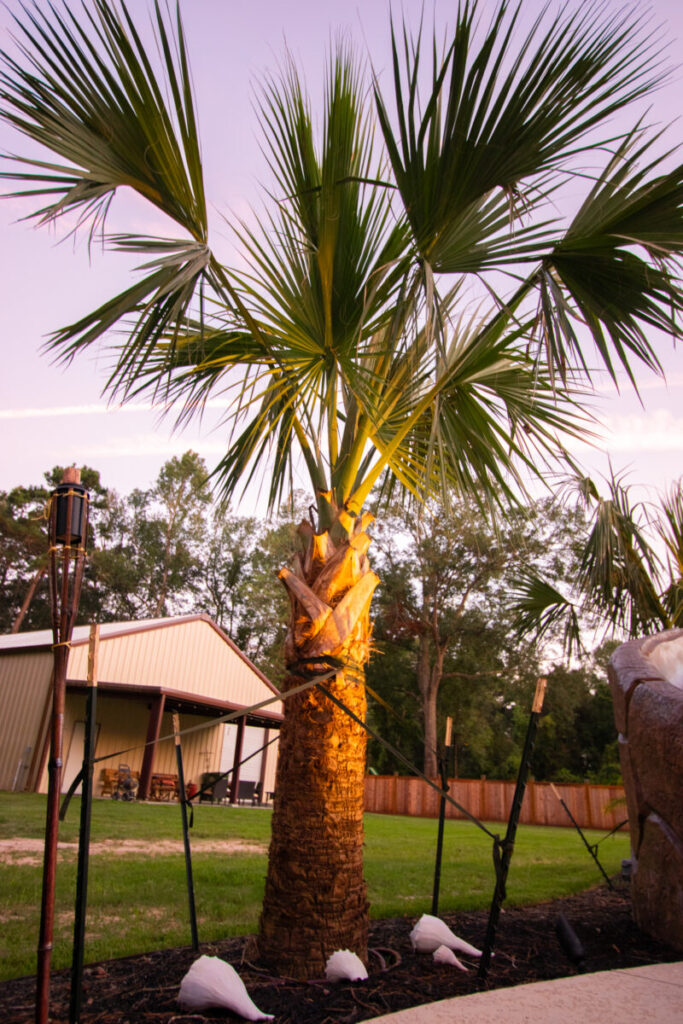 Huffman Project – Commons Forest Dr