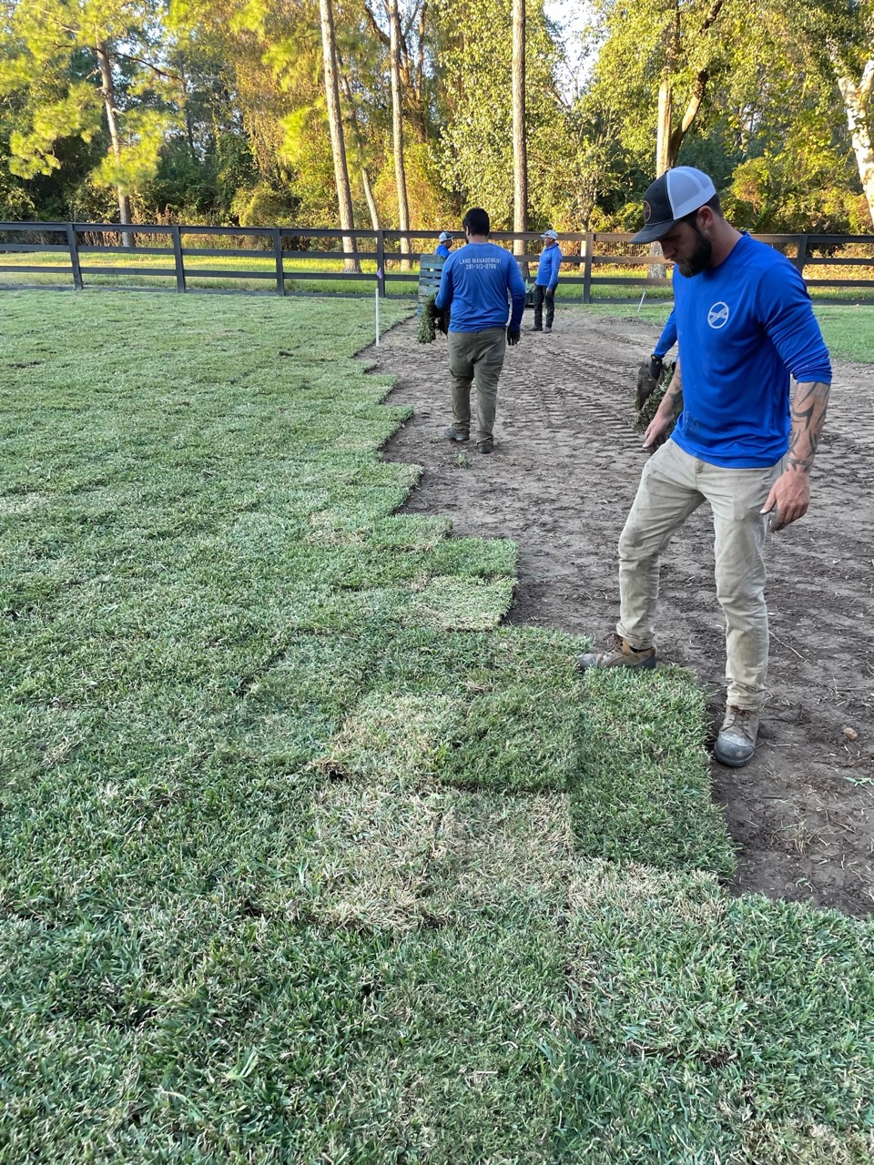 Sod Installation Huffman - Lake Houston Ln Project - sod installation