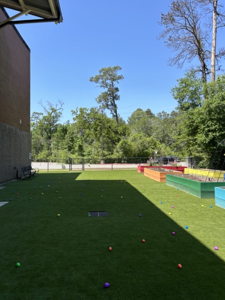 Falcon Ridge Elementary School