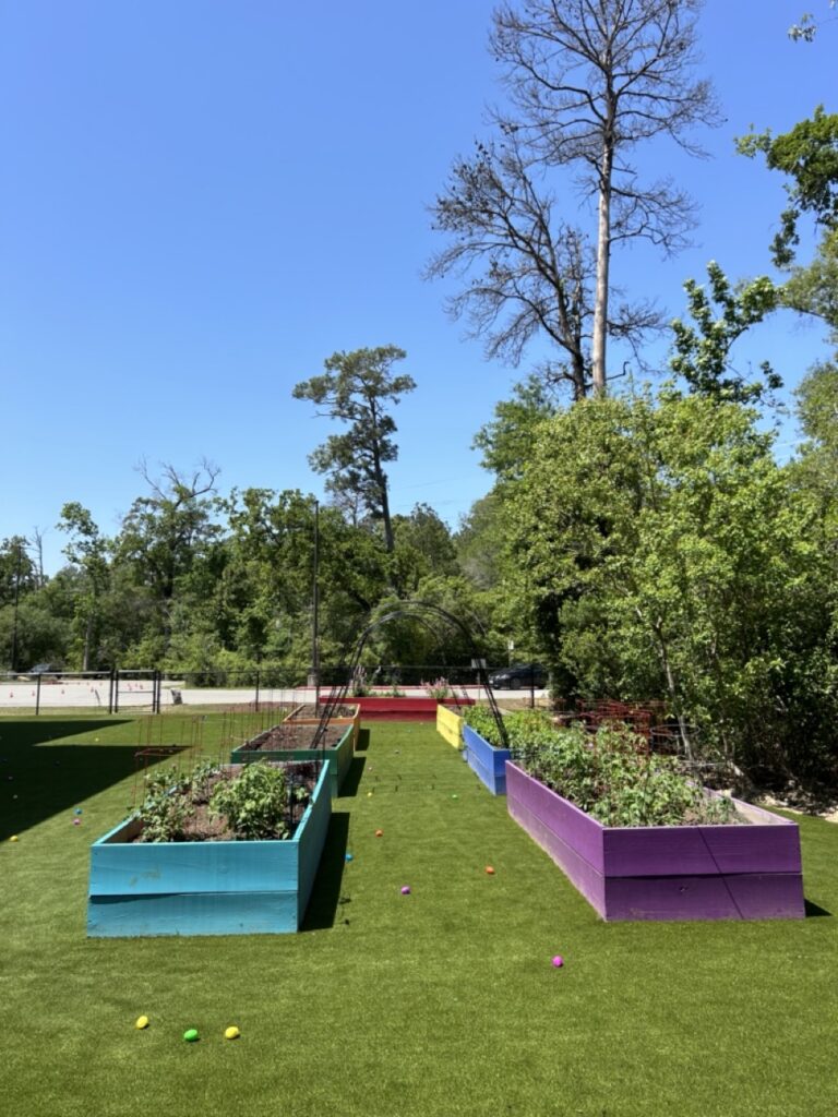 Falcon Ridge Elementary School