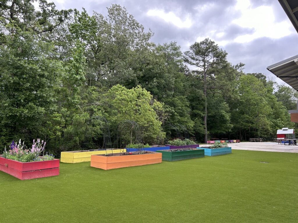 Falcon Ridge Elementary School