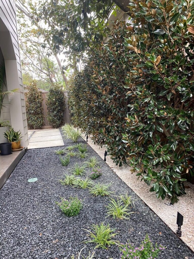 Heights Project Banks St - Poured-in-place concrete pavers, hardscaping, landscaping, Little Gem magnolia,, bamboo 'Graceful', Japanese yew, flax lily, black star gravel, white gravel, landscape uplights, Mexican heather, variegated liriope, sweet alyssum, metal planter, seasonal flowers, metal border built in-house, welded on-site, elegant white precast firepit