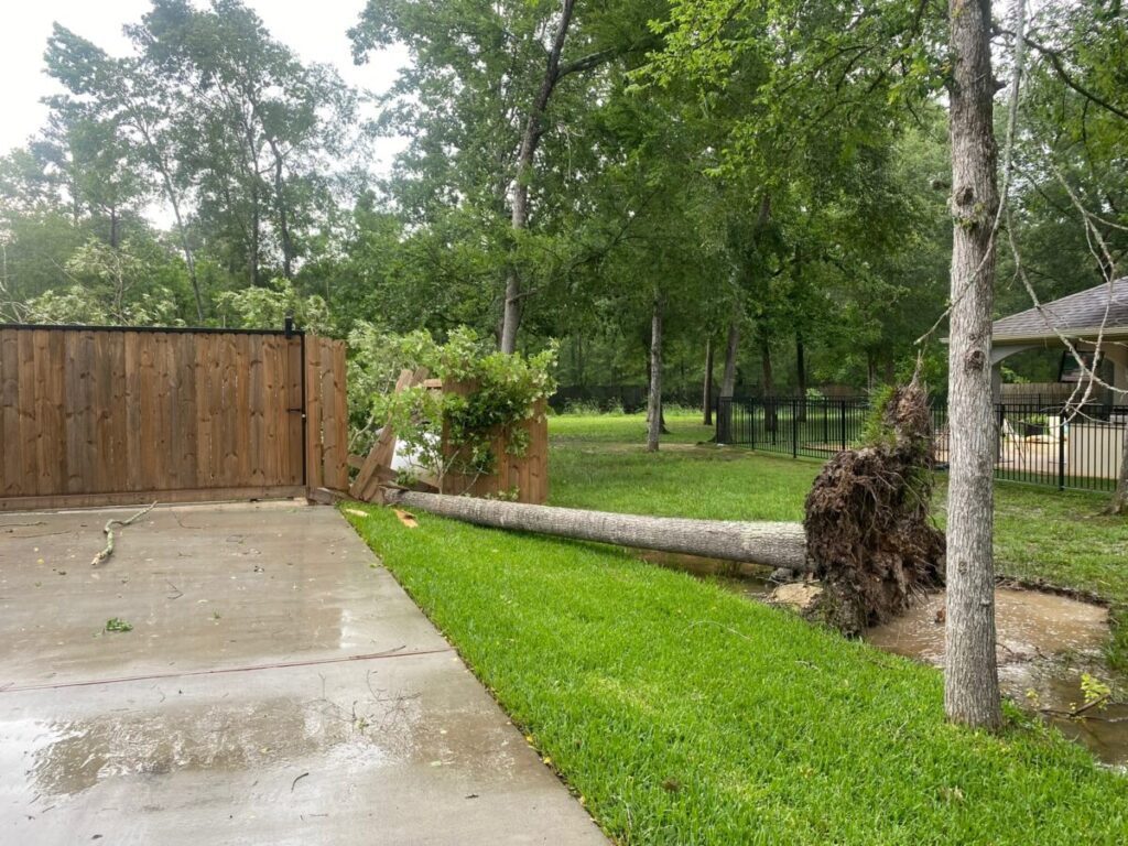 Huffman Project - Commons Lake View