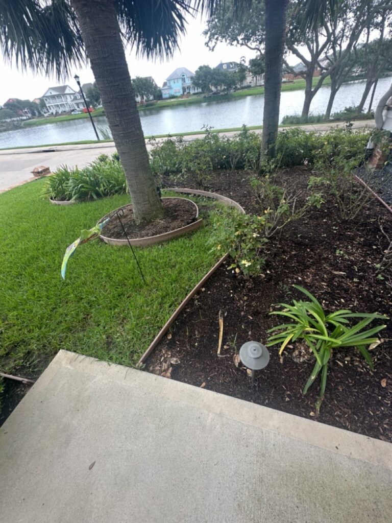 Porch St Project