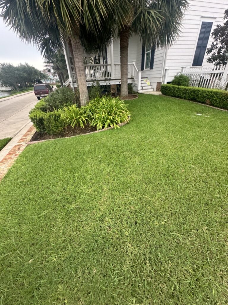 Porch St Project