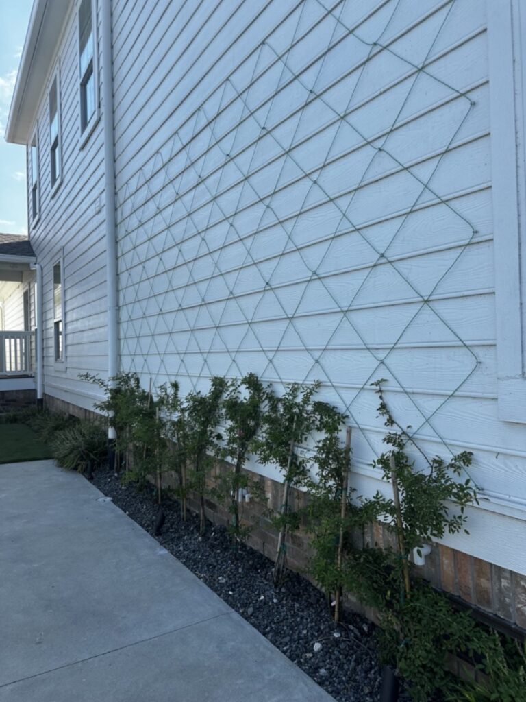 Island Passage Project