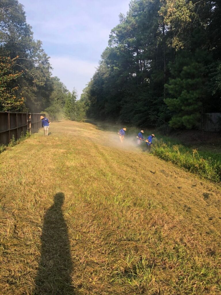 Huffman Project - Commons Lake View