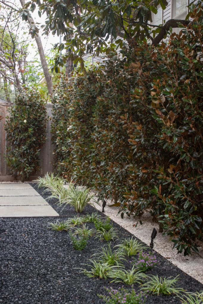 Heights Project Banks St - Poured-in-place concrete pavers, hardscaping, landscaping, Little Gem magnolia,, bamboo 'Graceful', Japanese yew, flax lily, black star gravel, white gravel, landscape uplights, Mexican heather, variegated liriope, sweet alyssum, metal planter, seasonal flowers, metal border built in-house, welded on-site, elegant white precast firepit