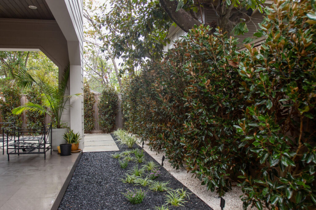 Heights Project Banks St - Poured-in-place concrete pavers, hardscaping, landscaping, Little Gem magnolia,, bamboo 'Graceful', Japanese yew, flax lily, black star gravel, white gravel, landscape uplights, Mexican heather, variegated liriope, sweet alyssum, metal planter, seasonal flowers, metal border built in-house, welded on-site, elegant white precast firepit