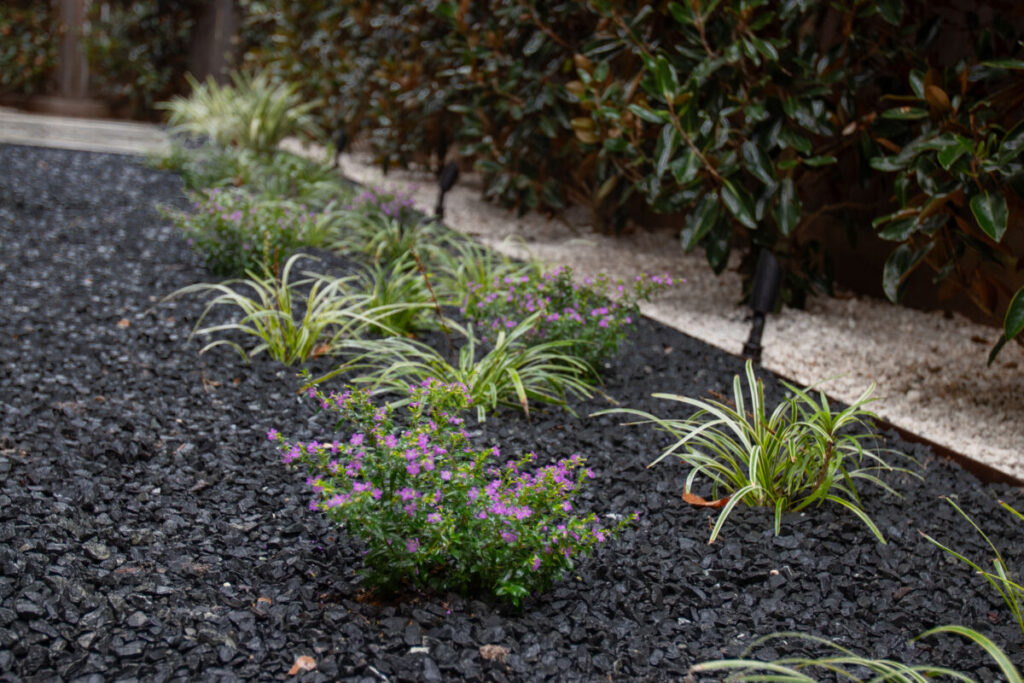 Heights Project Banks St - Poured-in-place concrete pavers, hardscaping, landscaping, Little Gem magnolia,, bamboo 'Graceful', Japanese yew, flax lily, black star gravel, white gravel, landscape uplights, Mexican heather, variegated liriope, sweet alyssum, metal planter, seasonal flowers, metal border built in-house, welded on-site, elegant white precast firepit