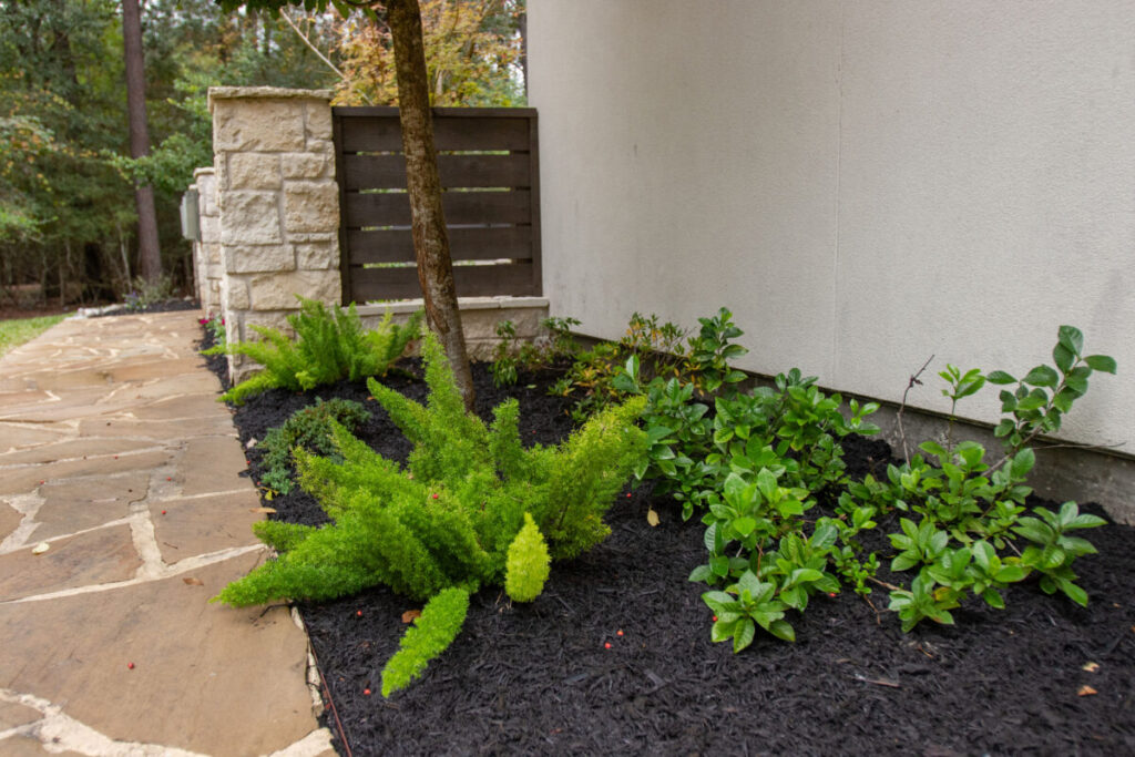 The Commons Project - S. Commons Dr