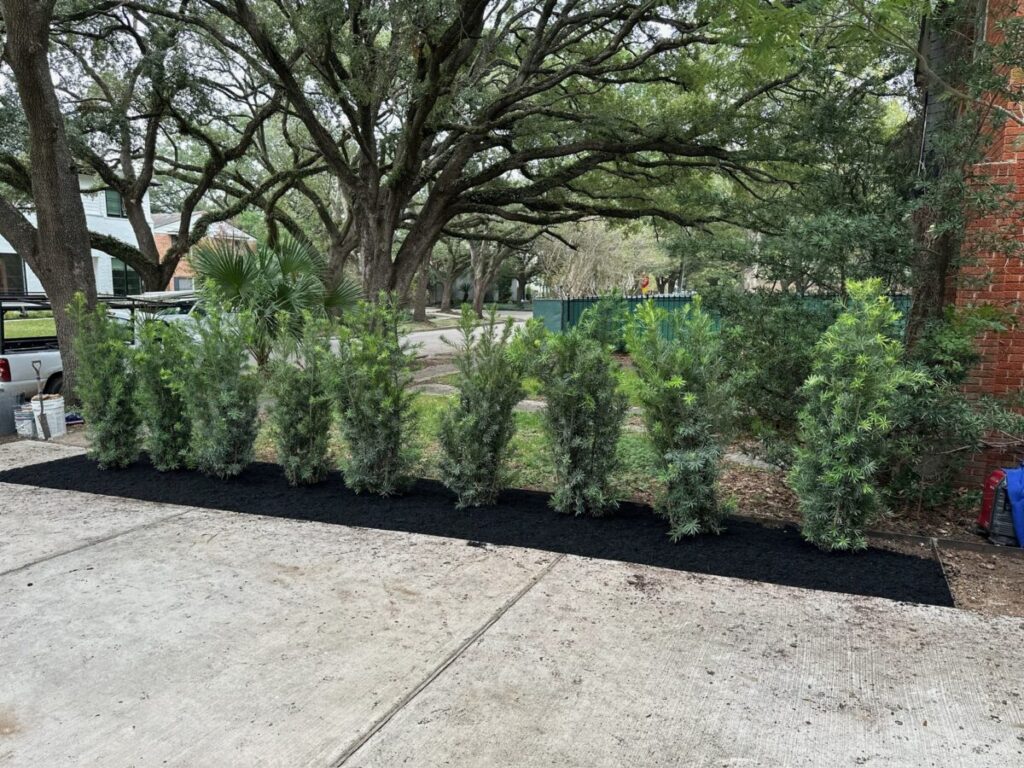 Heights Project Banks St - Poured-in-place concrete pavers, hardscaping, landscaping, Little Gem magnolia,, bamboo 'Graceful', Japanese yew, flax lily, black star gravel, white gravel, landscape uplights, Mexican heather, variegated liriope, sweet alyssum, metal planter, seasonal flowers, metal border built in-house, welded on-site, elegant white precast firepit