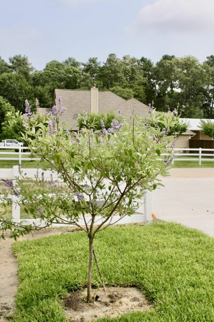 Saddle Creek Farm Project