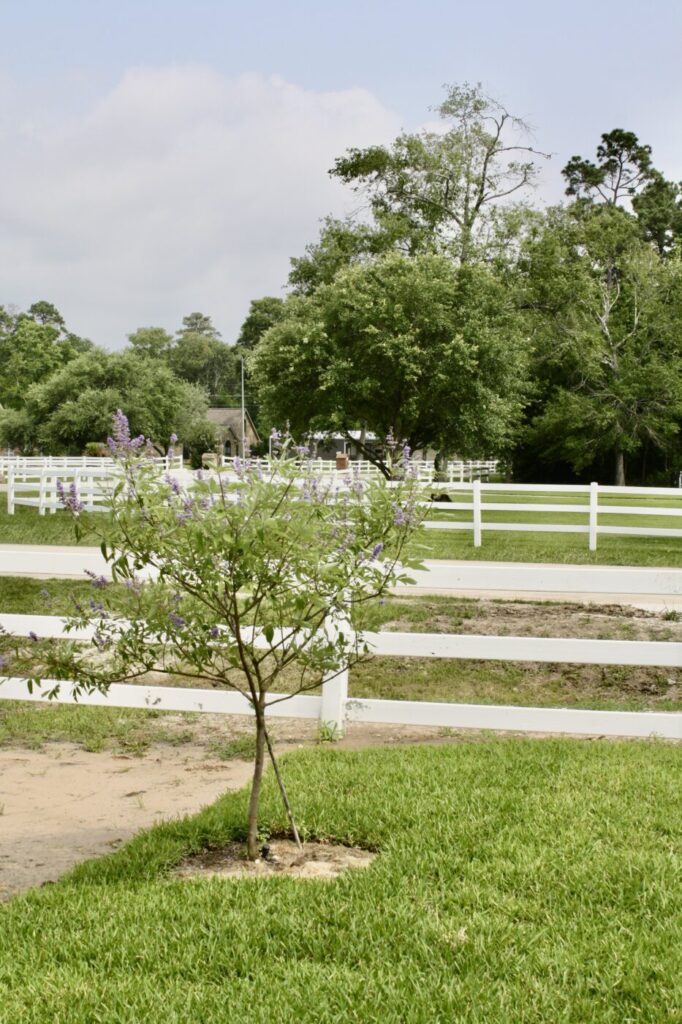 Saddle Creek Farm Project