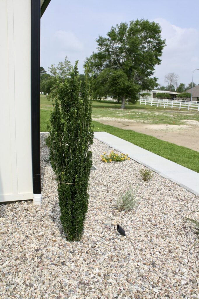 Saddle Creek Farm Project