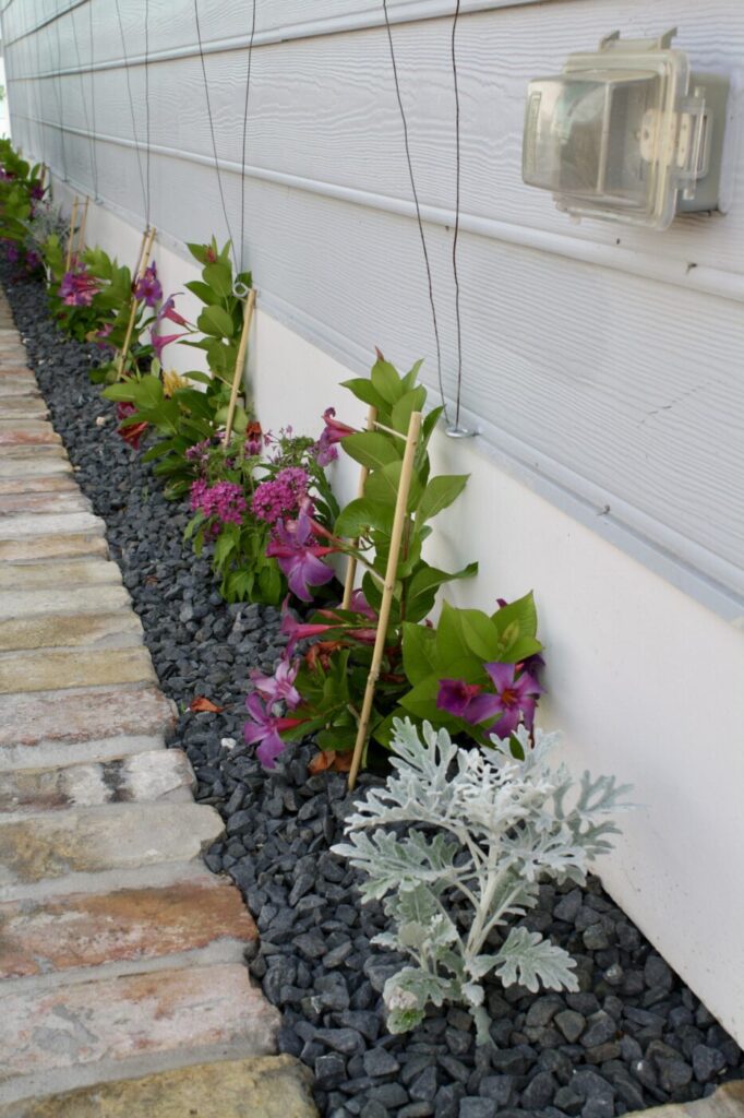 Sunset St Project - Custom Outdoor Living by Texas Turf Tenders