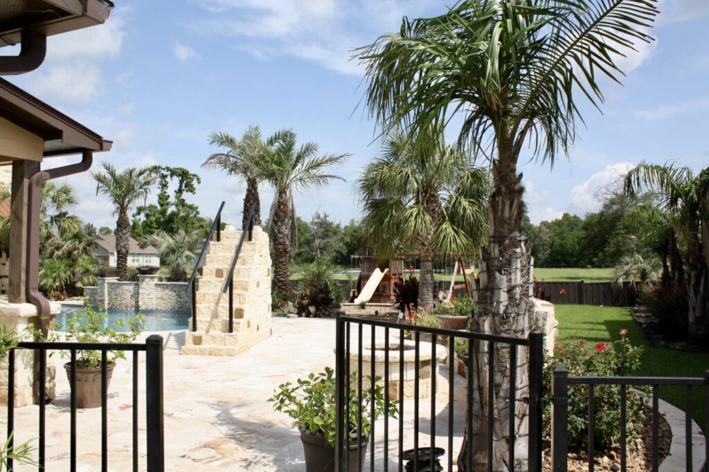 Jordan Ln Outdoor Living Project - Custom Pool and more by Texas Turf Tenders