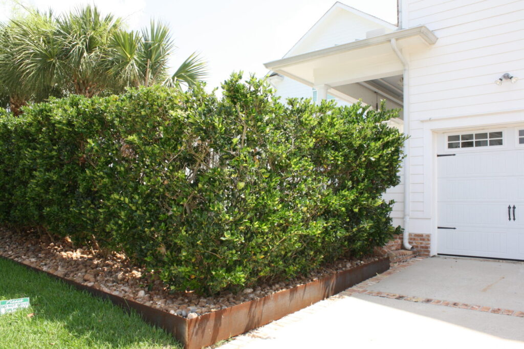 8th Porch Street Project - custom outdoor living