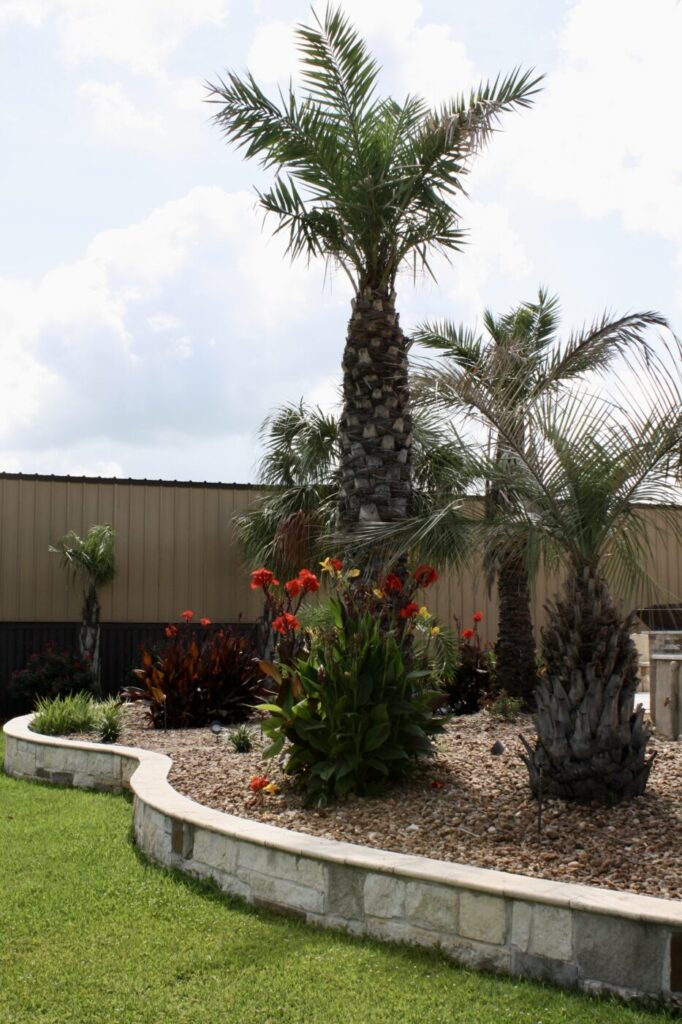 Jordan Ln Outdoor Living Project - Custom Pool and more by Texas Turf Tenders